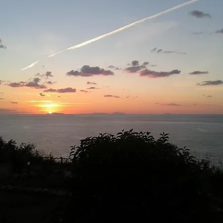 Wild Beach *