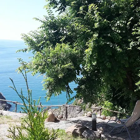 Wild Beach *